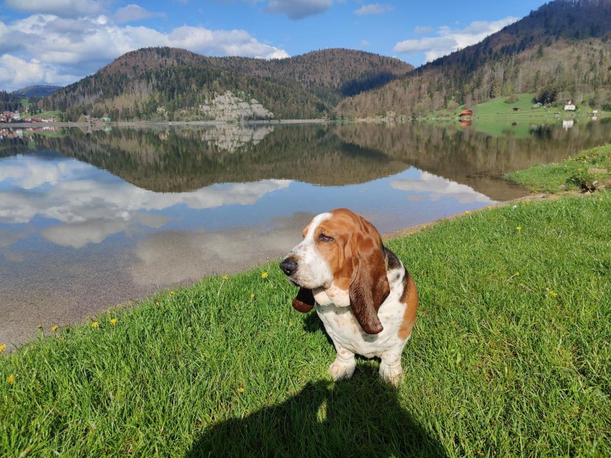 Chata Natasa Dedinky Exteriér fotografie
